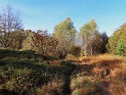 Alla Madonnina del Costone (1195 m) in veste autunnale da Salmezza-21ott24 - FOTOGALLERY